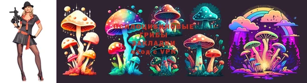 кокаин Алексеевка