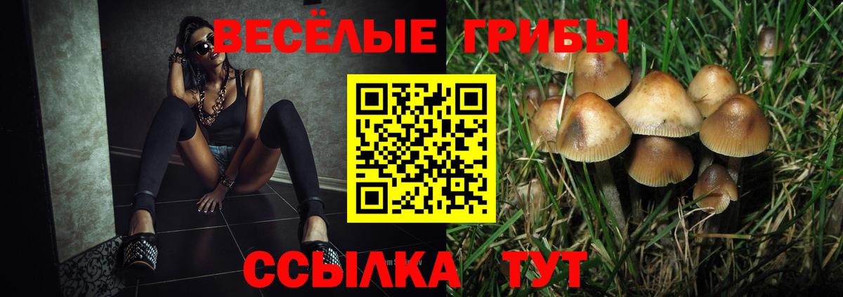 Псилоцибиновые грибы мухоморы Дмитров